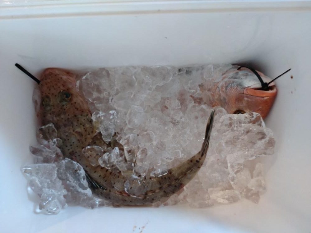 大爆死も何とか捻り出し