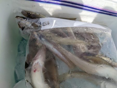 先輩らとキッス（笑）