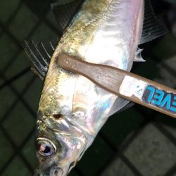 ところ変わり・・・