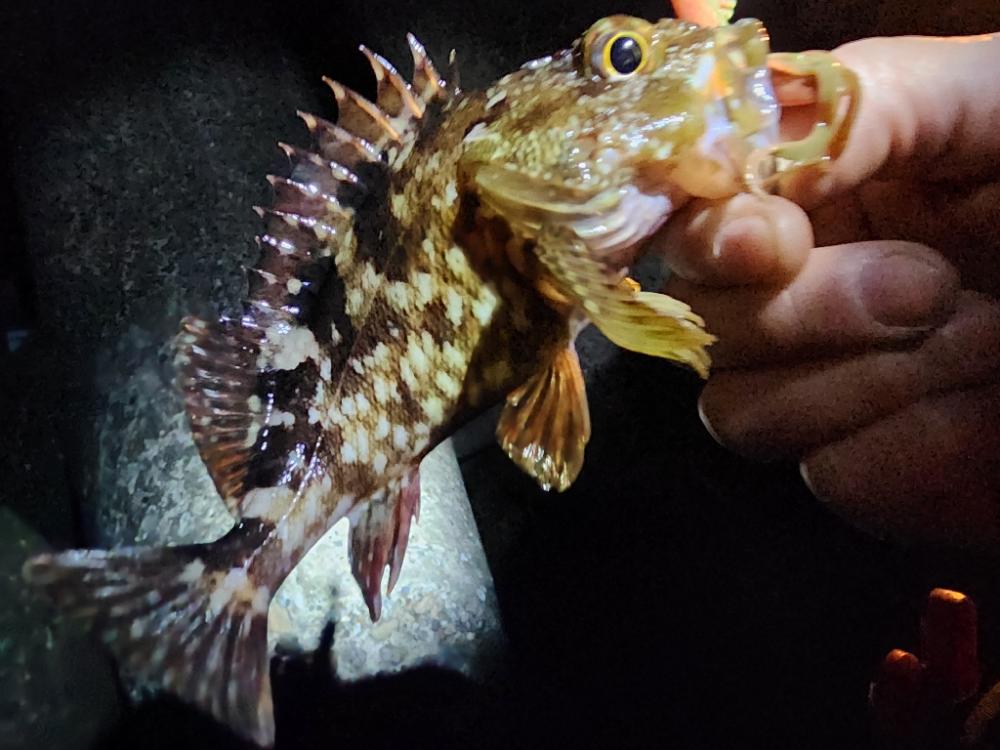 ライトロックゲーム