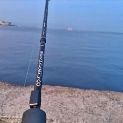 マゴチ釣れました。