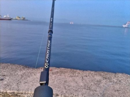 マゴチ釣れました。