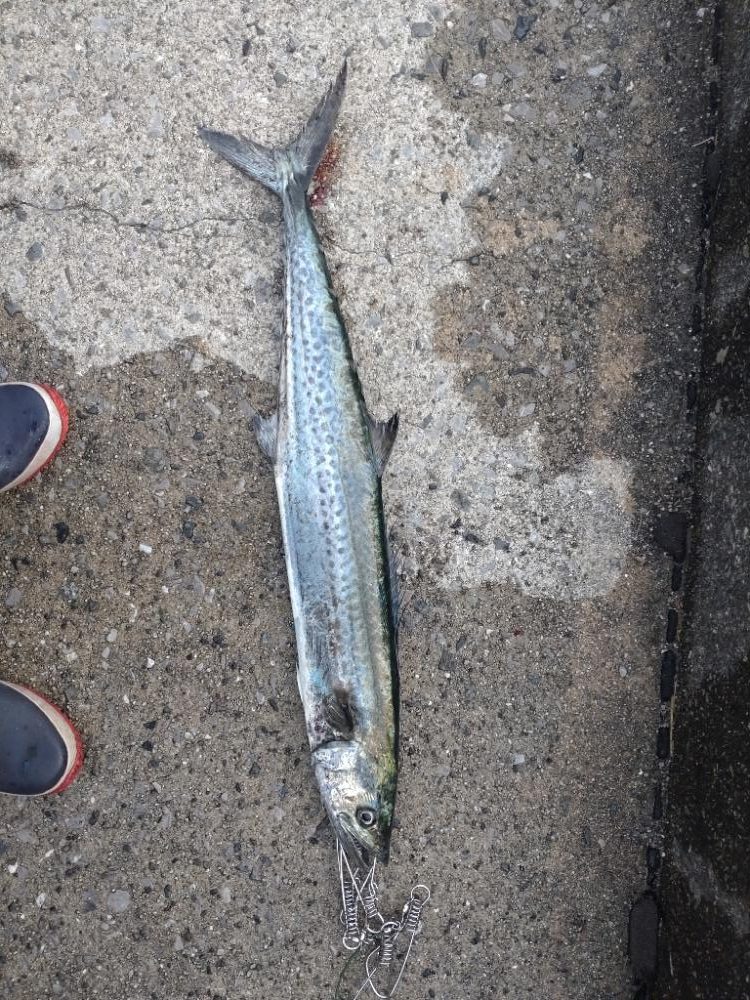 ブローウィン140J　フォールトリック⁉️