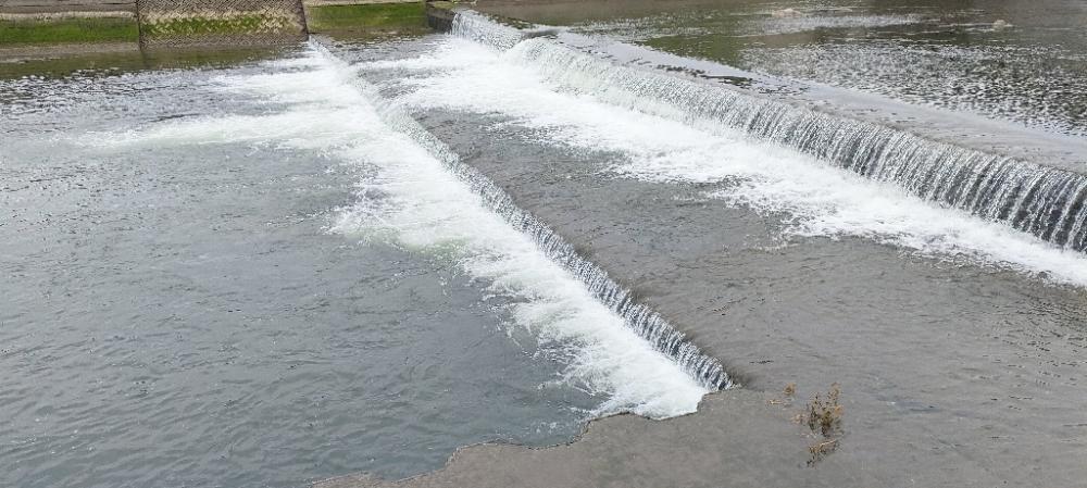 トップチニング