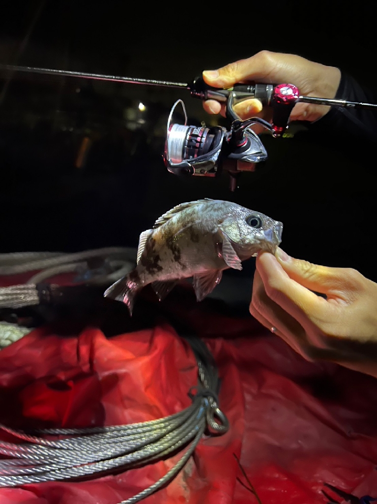 結局アジングで良いのよ