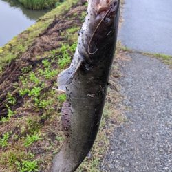 小雨パワー炸裂？？