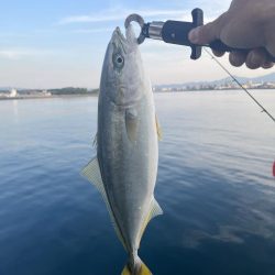 大分川河口　付近