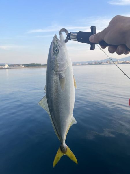 大分川河口　付近