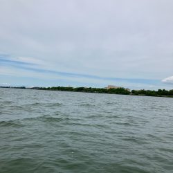 矢橋帰帆島沖46cm