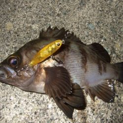 予想外の高活性