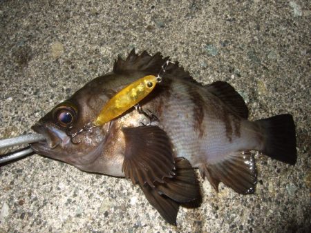 予想外の高活性