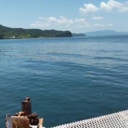 ブリ釣るならここでしょ！