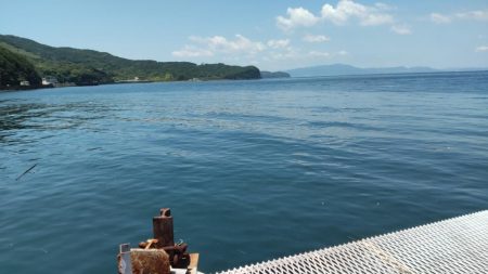 ブリ釣るならここでしょ！