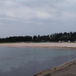 まぁまぁの釣果