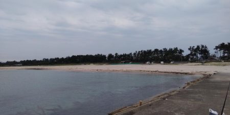 まぁまぁの釣果