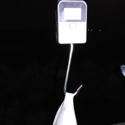 エギング、ちょっとだけメバリング