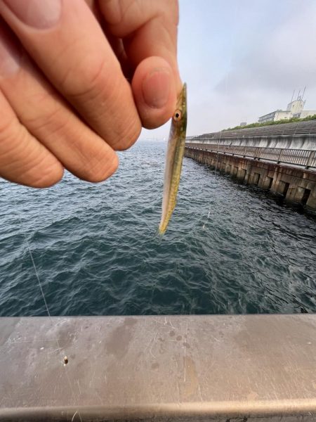 こサバマシマシ。人マシマし