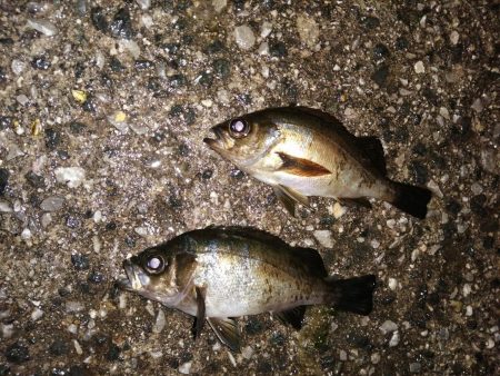 前回よりは良き