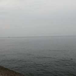 大雨の前にアナゴ！