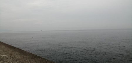 大雨の前にアナゴ！