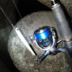 増水時はテトラ際狙いで