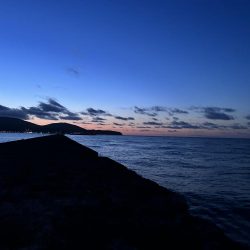 小樽港南防波堤でカレイ!!