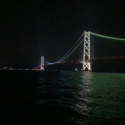 グレ狙い＆ファミリーフィッシング