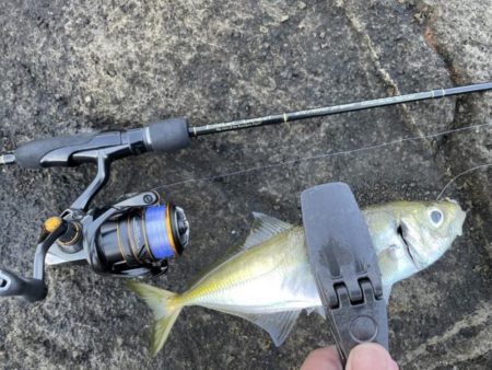 2023 佐渡ヶ島 ライトゲーム 6月24日