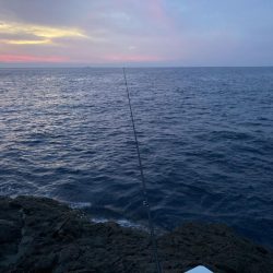 ケンカ別れ後のアカハタ