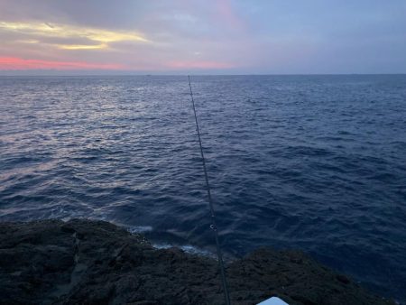 ケンカ別れ後のアカハタ