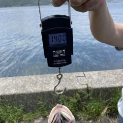 サゴシ釣りの予定が〜