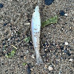 昨日の反省点を活かしました!!