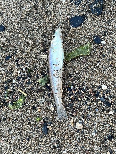 昨日の反省点を活かしました!!