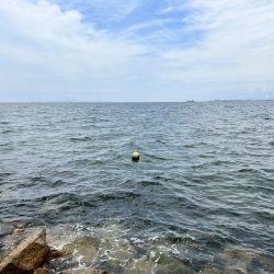 今回もキス釣り！！