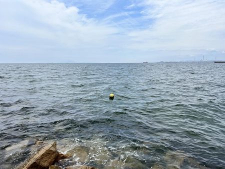 今回もキス釣り！！