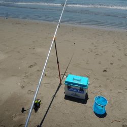 梅雨の晴れ間のキス釣り