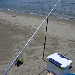 濁りで渋くピンギスばかり