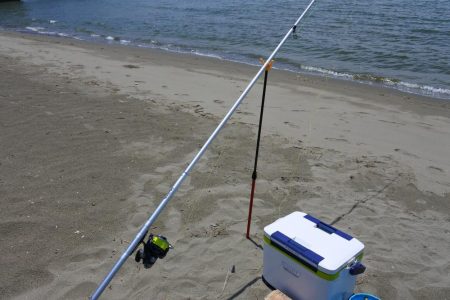 濁りで渋くピンギスばかり