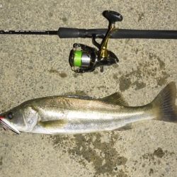 静けさの中での、まさかのHit！