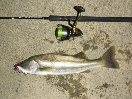 静けさの中での、まさかのHit！