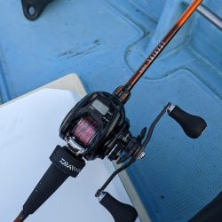 飲ませ最高(サウス)