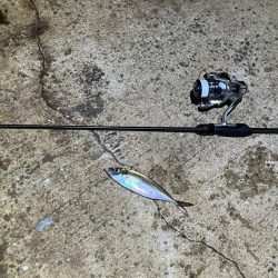 23ヴァンキッシュ1000SSSPG鱗付け