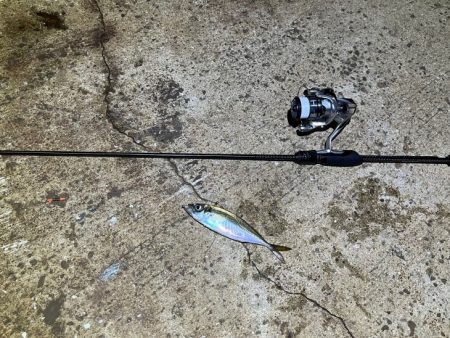 23ヴァンキッシュ1000SSSPG鱗付け