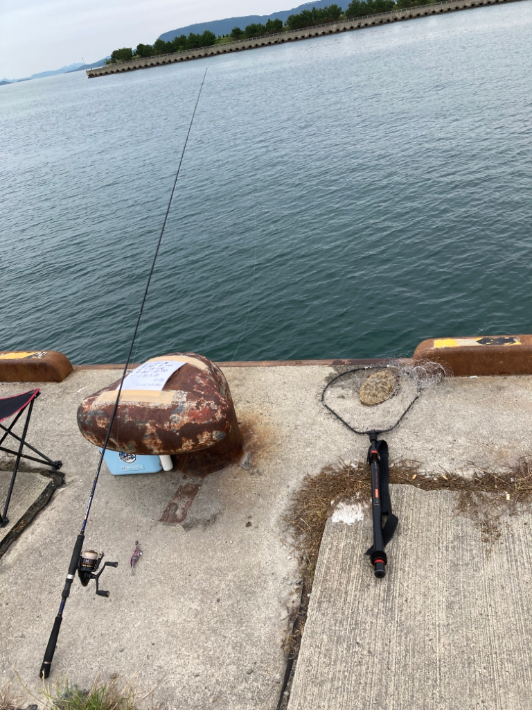 一昨日釣れた興奮今一度！