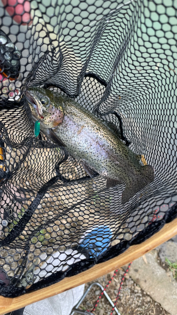 ようやくコツがわかった気がする(苦笑)