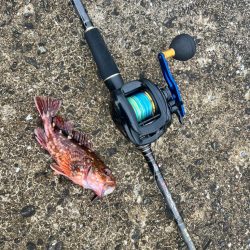 炎天下の中の化け物狙い