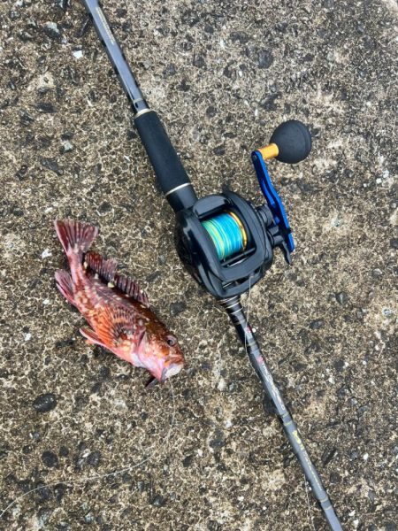 炎天下の中の化け物狙い