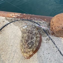 今年初めての獲物！一昨日のリベンジ。