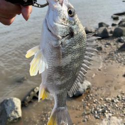 自作フックで！