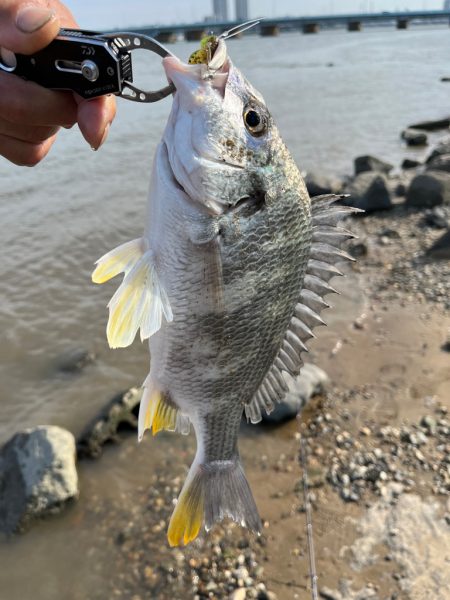 自作フックで！